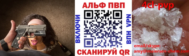 Альфа ПВП СК  Плёс 