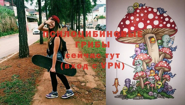 МДМА Белокуриха