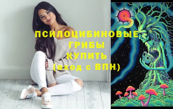 спайс Беломорск