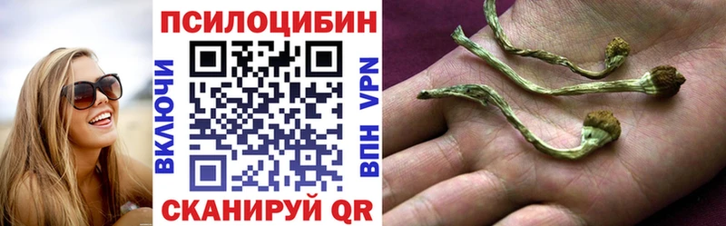 Галлюциногенные грибы мицелий наркотики Плёс